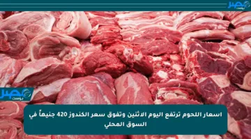 أسعار اللحوم ترتفع اليوم الإثنين وتفوق سعر الكندوز 420 جنيهاً في السوق المحلي